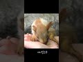 저는 다람쥐고요 우리 엄마는 고양이에요 KBS 뉴스광장 190426 방송 저는 다람쥐고요 우리 엄마는 고양이에요 KBS 뉴스광장 190426 방송