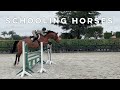 Help school horse at wef  eleese s