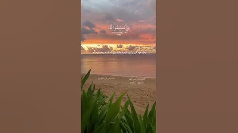 آيات من سورة الزمر للقارئ إدريس أبكر