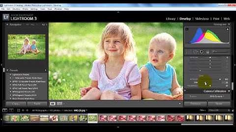 How to Use Effects Panel in Lightroom 3