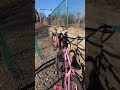 It’s windy #bike