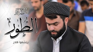 ترتيل جميل في سورة الطور كاملة - بيشةوا قادر الكردي#رمضان2021