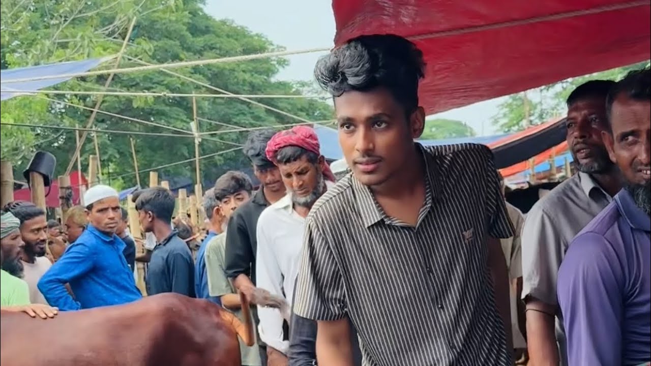 আলহামদুলিল্লাহ আমাদের এবারের কোরবানির গরু 😇❤️ | Sumaiya Robayed