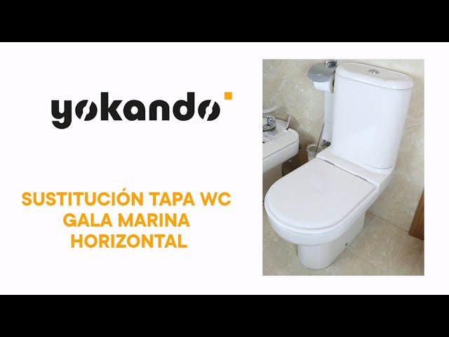 GALA MARINA HORIZONTAL - Sustitución tapa wc 