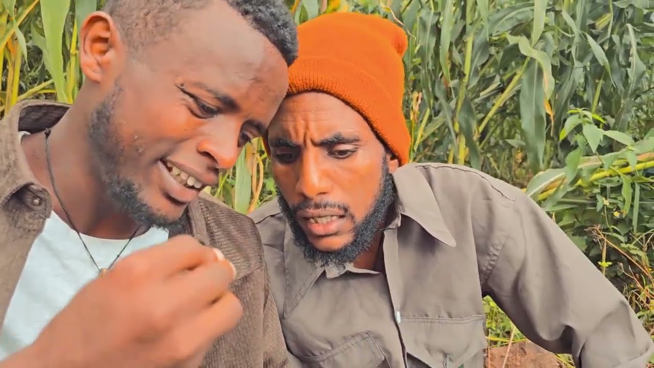 new tigrigna comediy (ፍቕሪ ብ ፌስቡክ)