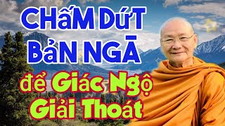 Chấm dứt Bản Ngã để lập tức Giác Ngộ Giải Thoát | Thực Tánh Pháp - Chế Định Pháp