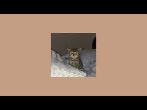 The Lumineers - Ho Hey (Sped Up)
