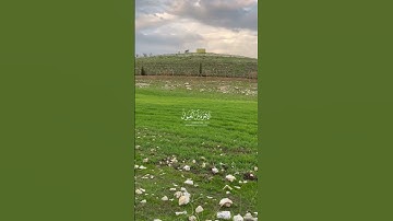 وَمَا هَٰذِهِ ٱلْحَيَوٰةُ ٱلدُّنْيَآ | سورة العنكبوت | القاري:احمد طالب #قران_كريم #فلسطين #غزة