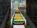 La fábrica de fideos instantáneos más limpia del mundo! #funny #youtube #delicious