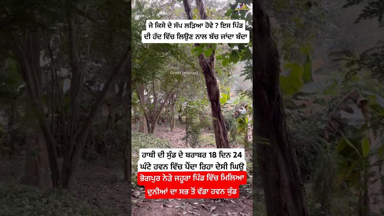 भोगपुर के नजदीक मिला दुनिया का सबसे बड़ा हवन कुंड