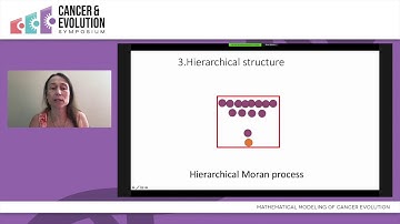 Natalia Kamarova - Mathematical Modeling of Cancer Evolution