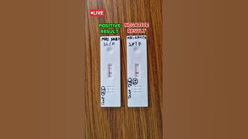 prega news pregnancy test video | live positive pregnancy test