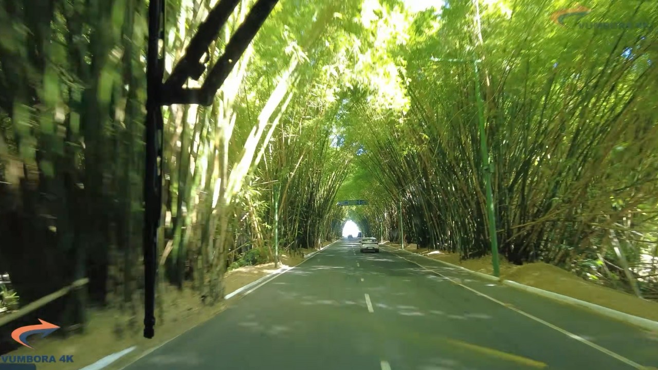 COMO CHEGAR AO AEROPORTO DE SALVADOR | HOW TO GET TO SALVADOR AIRPORT