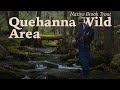 Exploring and camping in the quehanna wild area pa for native brook trout