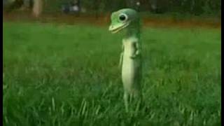 Geicobutta And Jam07