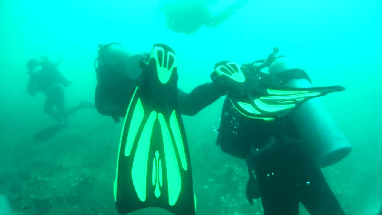 Buceo en puerto Madryn / naufragio Albatros