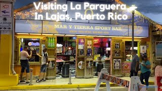 Visiting La Parguera In Lajas, Puerto Rico [Day & Night]