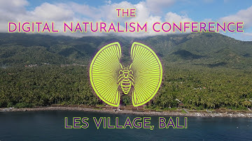 Invitation: Dinacon 4 - Bali - 2025