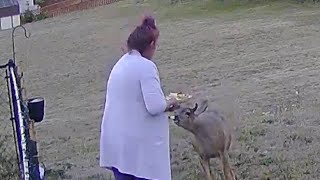 They gave me good kisses and loved their head being scratched