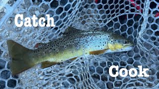 Brown Trout catch and cook. With Plenty More Catches!