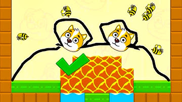 Save The Dog Speedrun Gameplay Level 488