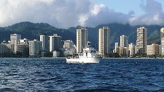 WELCOME to HAWAII / 南の黄金の島/ハワイで会いましょう/ハワイアンパラダイス/ブルーハワイ