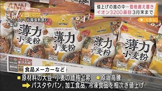 値上げの嵐の中・・・イオンが3200品目の価格据え置き(2021年12月21日)