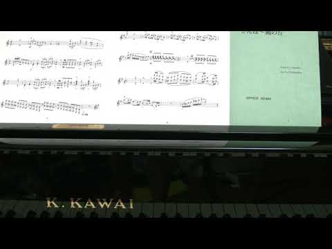 ｼﾞﾌﾞﾘﾒﾄﾞﾚｰ「さんぽ～風の丘」/ ﾋﾟｱﾉ8手連弾