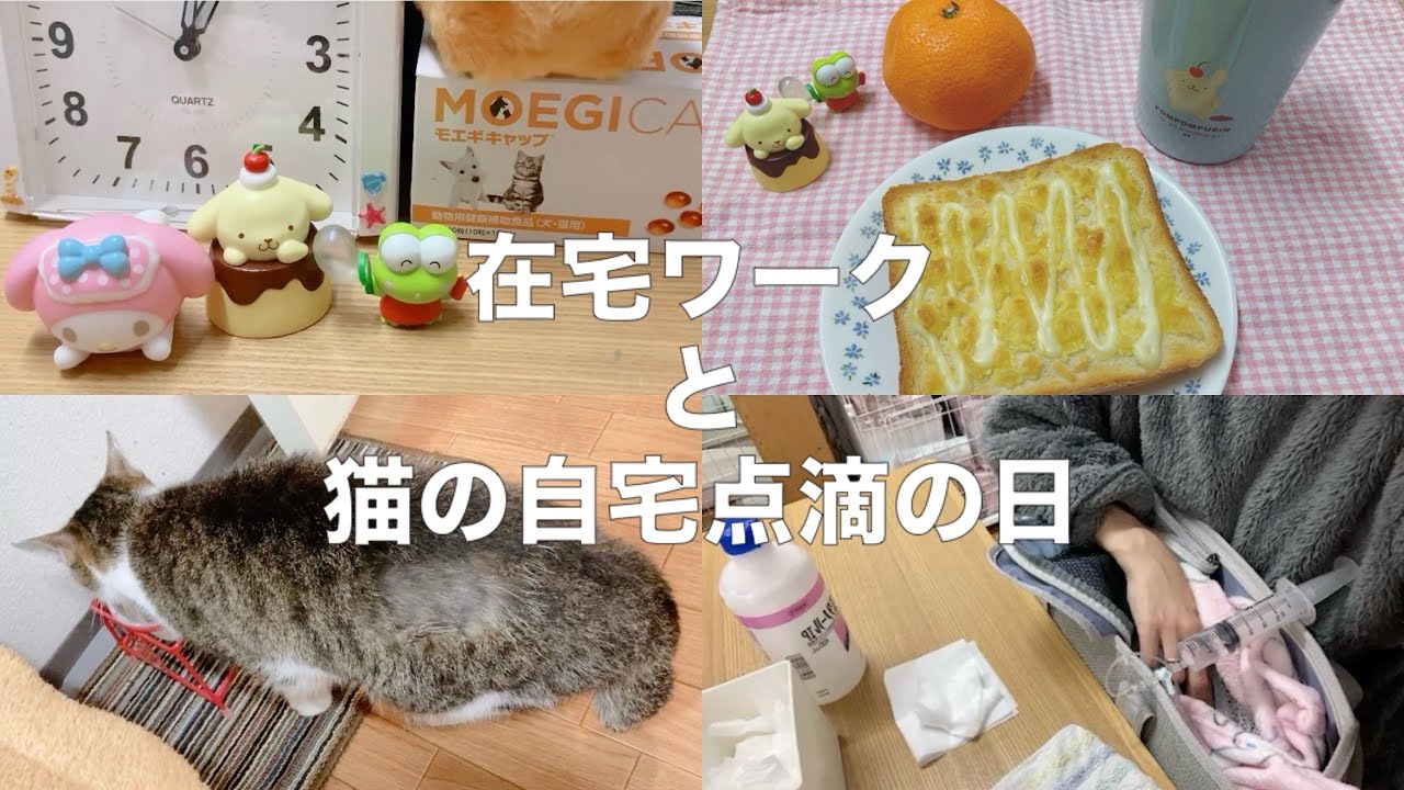 【猫のいる暮らし】在宅ワークと猫の自宅点滴の日