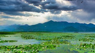 Skadarsko jezero : Mesto gde priroda i istorija žive zajedno | Crna Gora