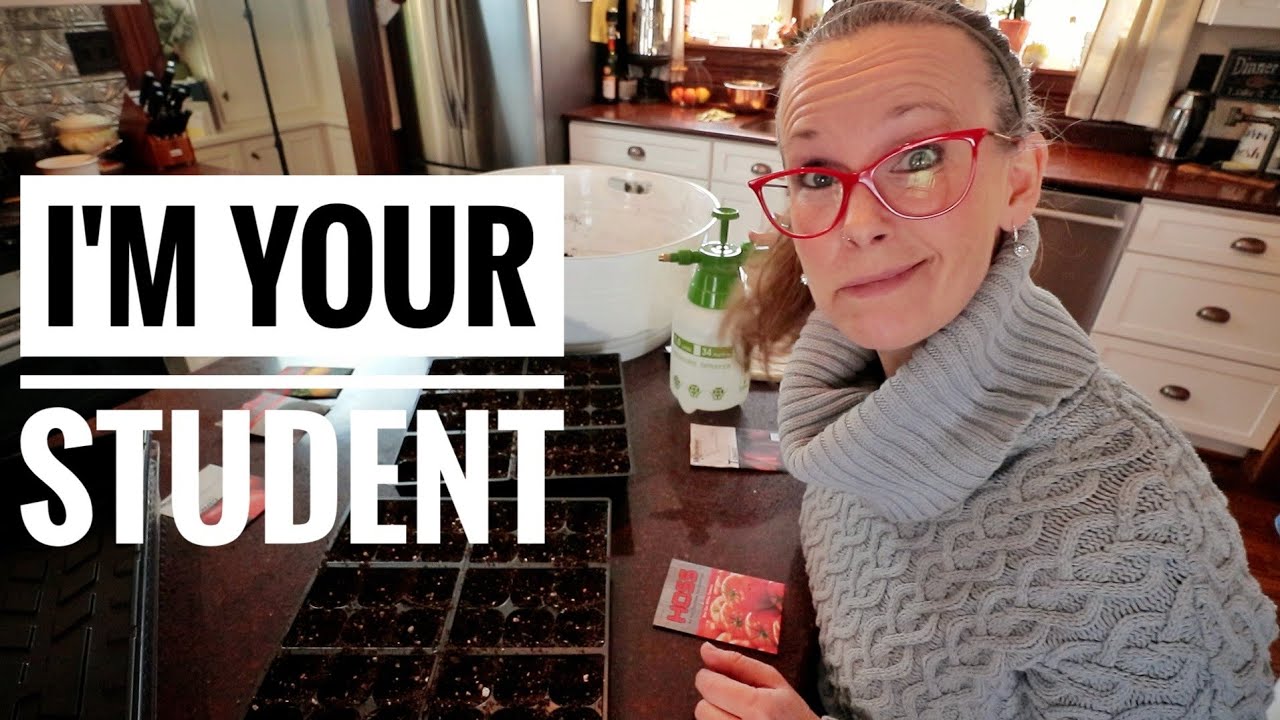 Learn to Seed Start with Me | Sowing Tomatoes & Changes I've Made