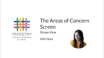 The EYFS 2021 Areas of Concern Screen - Group View