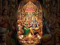 ஸ்ரீ மீனாட்சி சுந்தரேசுவரா் திருக்கல்யாணம்#meenakshikalyanam#madurai#tamildevotional#trending#shorts