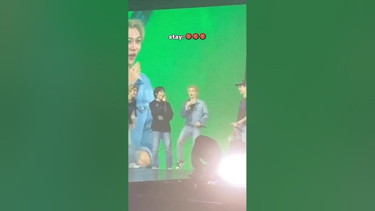 THE WAY STAYS REPEAT AFTER SKZ😭😭 #stay #straykids #kpop #concert THE WAY STAYS REPEAT AFTER SKZ😭😭 #stay #straykids #kpop #concert