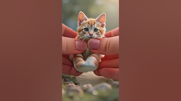 Slime Cat ?🙀Squishy cat Viral AI YouTube Shorts #oddlysatisfying #slime #cat #shocking #ai #surprise