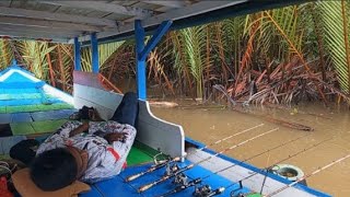 Download Lagu Mancing udang di malam hari seterik udang B di guyur hujan deras di pagi hari sampai ke tiduran MP3 Download Lagu Mancing udang di malam hari seterik udang B di guyur hujan deras di pagi hari sampai ke tiduran MP3