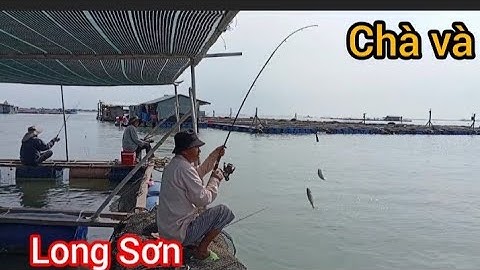 Trở lại Bè Chà và Long Sơn câu cá Đù và cá Nâu @Dammecauca1