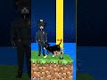 Cow, Chicken Vs Dog cute? Which animal can dodge the cones and choose the right owner? #cat #dog