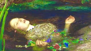 acid fairy (La Nina del Volcan remix)