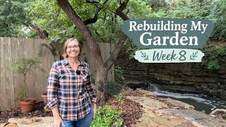 Rebuilding My Garden Week 8: Planting Natives, Evergreens and Shrubs