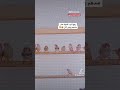 افضل موسم انتاج الزيبرا في الشتاء زيبرا محمية طفرات