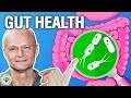 Why Is Gut Health Important?  - Health and Wellness