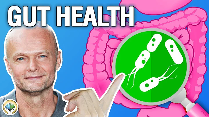 Why Is Gut Health Important?  - Health and Wellness