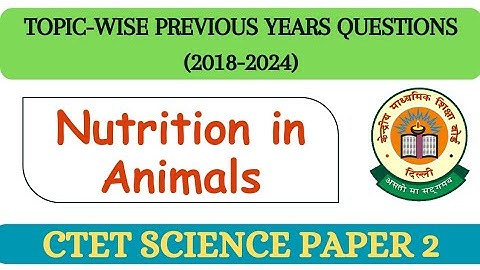 PYQs on Nutrition in Animals | CTET July 2024 | CTET Science Paper 2 | CTET Paper 2 Science |