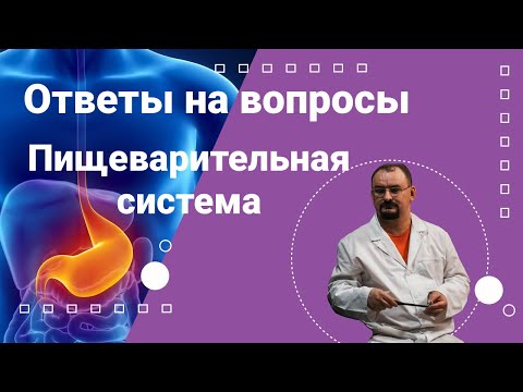 Ответы доктора Голода на вопросы по теме "Желудок"