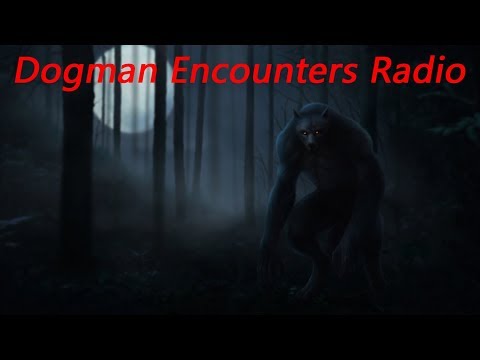 Dogman Encounters Episode 239 (Man has Dogman Encounter While Ginseng Hunting!)