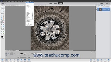 Photoshop Elements 2021 Tutorial The Undo Command & Undo History Panel Adobe Training