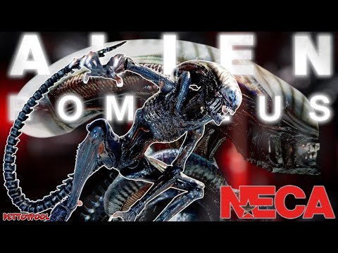 NECA ネカ ゼノモーフXX121 エイリアン ロムルス 箱にダメージ