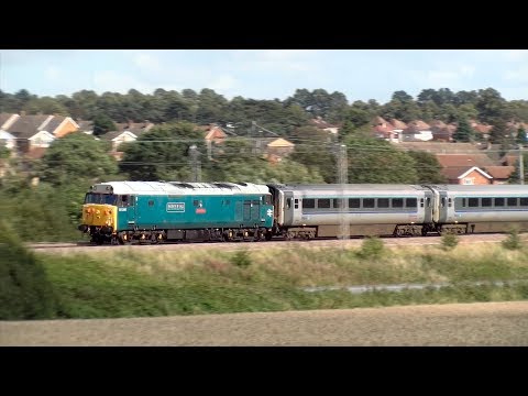 Class 50s Return to the Mainline