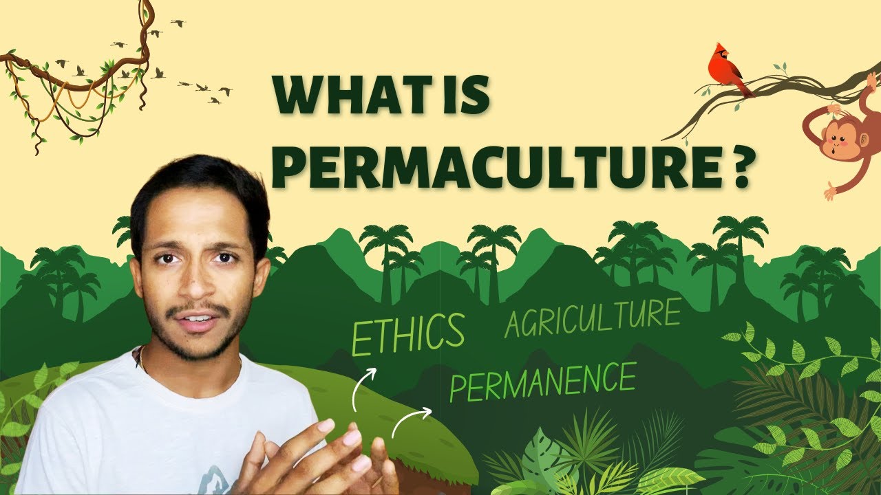 What is Permaculture? - YouTube